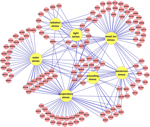 Figure 3.  Cross-talk of Arabidopsis thaliana salt-response proteins involved in other stress responses generated by Cytoscape v2.8.2. Red circle represented proteins involved in the stress response, yellow circle represented different stress.