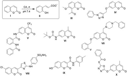 Figure 1. Some reported coumarins acting as selective CA IX/XII inhibitors.