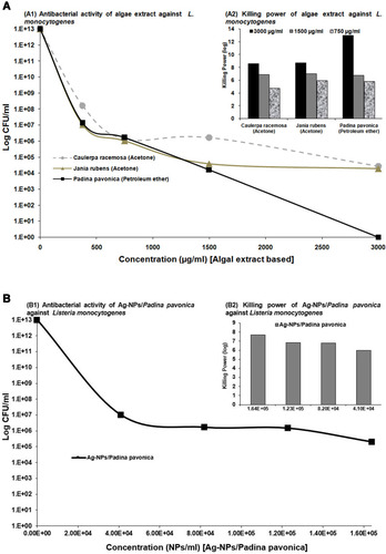 Figure 6 Antibacterial activity and killing power of algae extracts (A) and 1.64×105, 1.23×105, 8.2×104, and 4.10×104 Ag-NPs–Padina pavonica (B) against L. monocytogenes at concentrations of 750, 1,500, and 3,000 µg/mL. Data presented as log CFU/mL. Only positive values of the examined algal extracts and NPs were recorded. Assays were performed in triplicate.