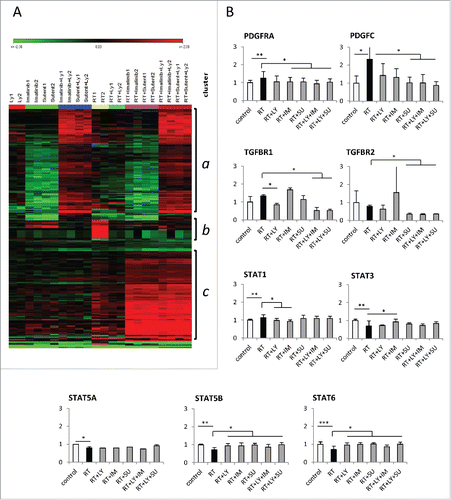 Figure 4. Gene expression profile of mouse lung tissue treated with ionizing irradiation and PDGF or TGFβ signaling inhibition. (A) Heat map showing the patterns of gene regulation after thoracic irradiation of mice and/or treatment with galunisertib (LY), imatinib (IM) or SU9518 (SU) and combinations. Three main clusters arise from a 1 factor ANOVA analysis: Cluster a groups genes which were mainly activated by the combinatory treatment of PDGFR-inhibitors (Imatinib or Su) with the TGFBR inhibitor galunisertib (LY). Irradiation had only a minor influence. Genes in cluster b were upregulated by radiation and normalized or inhibited by drug treatments which may be associated with their antifibrotic effects including SPP1 (Osteopontin, see B and Fig. 5). Cluster C contains genes which are mainly activated by the combination of irradiation plus PDGFR-inhibition largely independent of TGFBR inhibition. (B) Relative mRNA expression of genes involved in PDGF and TGFβ signaling. Graphs depict mean values +/− SD. Statistical analysis was performed by Student's t-test; *p < 0.05, **p < 0.01, ***p < 0.001.