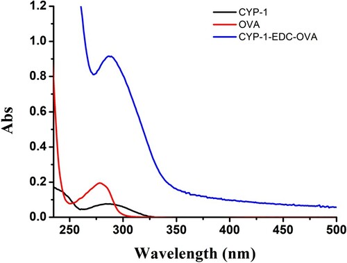 Figure 3. Ultraviolet spectrogram of coating antigens.