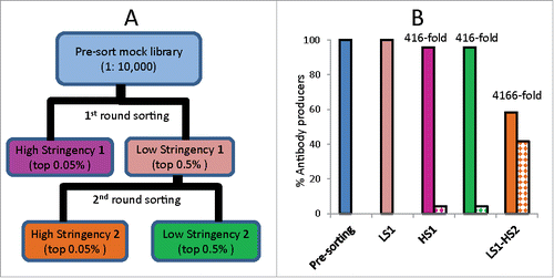 Figure 5. FACS sorting of a mock antibody library population. Positive control yeast (expressing anti-EGFR mAb) were mixed at a 1:10,000 ratio with negative control yeast (expressing anti-CCR5 mAb) followed by co-encapsulation with A431 target cells. (A) Schematic of library sorting strategy. (B) Population composition after each sort. Solid bars indicate the proportion of negative control yeast and checkered bars indicate the proportion of positive control yeast. Fold enrichment [(% anti-EGFR post sort)/(% anti-EGFR presort)] is shown.