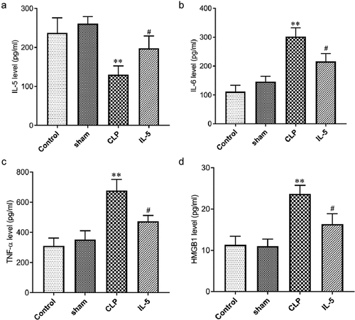 Figure 5. Effect of IL-5 on the content of inflammatory cytokines and HMGB1