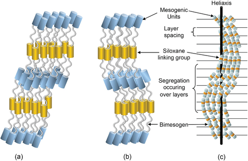 Figure 14. (Colour online) Proposed conformations and nanosegregation of the molecules in the synclinic and anticlinic phases of the bimesogens.