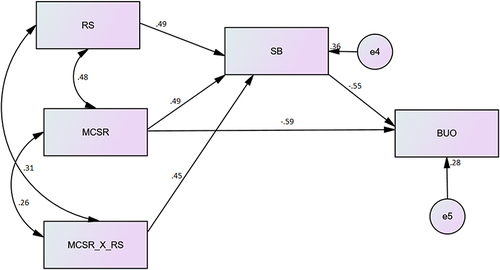 Figure 3 Structural model.