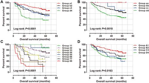 Figure 4 Joint effect survival analysis of ACBD4 expression and clinical parameters in GSE14520 HBV-related HCC patients. (A) Joint effect survival analysis of ACBD4 and tumor size; (B) Joint effect survival analysis of ACBD4 and cirrhosis; (C) Joint effect survival analysis of ACBD4 and BCLC stage; (D) Joint effect survival analysis of ACBD4 and serum AFP.