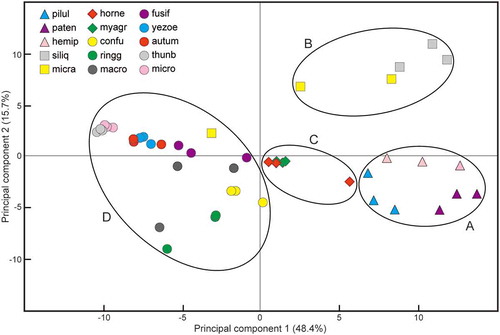 Fig. 4. The result of principal component analysis based on the qNMR data (from 5.6 to 6.7 ppm) using three samples of each of 15 sargassacean species. See Table 1 for the explanation of abbreviations.