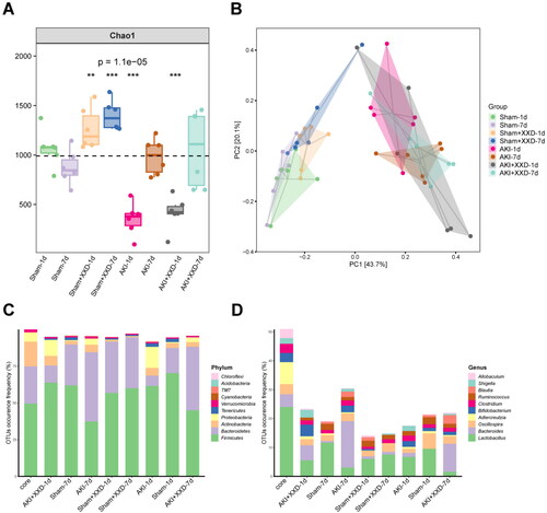 Figure 7. (A) Chao index analysis; (B) principal component analysis (PCA); (C) species composition at the phylum level; (D) species composition at genus level.