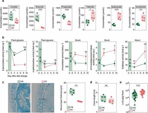 Figure 3. Fiber deprivation in mice harboring a complex microbiome results in changes in bacterial enzyme activity and levels of mucosal barrier integrity markers