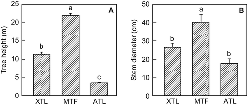 Figure 2 Tree height and diameter at breast height (dbh) of the three Nothofagus pumilio stands. Values are means ± SE; n = 10 for mean tree height and n = 27, 18, and 9 for dbh of the xeric treeline (XTL), the mid-altitude tall forest (MTF), and the alpine treeline (ATL) stand, respectively. Different letters indicate statistically significant differences between the forests (P < 0.05).