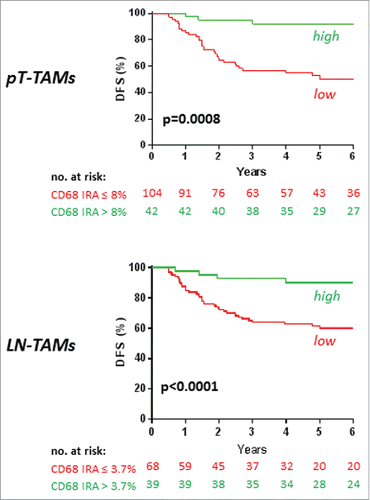 Figure 2. Disease-free survival (DFS) in 5-fluorouracil-treated patients with stage III colorectal cancer, by high/low TAMs. Kaplan-Meier Curves. Patients were classified by high/low density of TAMs, measured at the invasive front of their primary colorectal cancer (PT-TAMs) or of metastatic lymph-nodes (LN-TAMs), and defined by optimal cut-offs at receiver operator characteristic (ROC) curves (Fig. S2). P values are for Log-Rank test. Also high densities of intra-tumoral neutrophils (PT-TANs) were weakly (p = 0.04) associated with better disease-free survival (Fig. S3). The association of high PT-TAMs with better disease-specific survival was confirmed in the external validation set (Fig. S4).