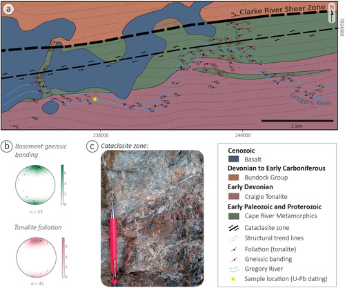 Figure 5. (a) Geological map of the western segment of the Clarke River Shear Zone (modified from Withnall & Lang Citation1992; for the location, see Figure 2b). (b) Equal area, lower hemisphere stereographic projections of foliation in the Cape River Metamorphics and Craigie Tonalite, showing an overall east–west orientation. (c) Cataclasite in a brittle damage zone.