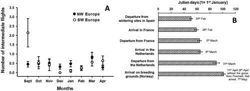 Figure 1. (A) Number of intermediate flights per individual (mean ± se) performed per month by Greylag Geese wintering in southwest and northwest Europe. (B) Chronology (mean date ± se) of spring migration stages for geese wintering in southwest Europe and breeding in Norway (precise mean dates are indicated besides the bars).