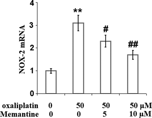 Figure 2. Memantine prevented oxaliplatin-induced expression of NOX-2 in human SHSY-5Y neuronal cells. Cells were treated with oxaliplatin at 50 μM and Memantine at 5 and 10 µM for 24 hours. mRNA of NOX-2 as measured by real-time PCR (n = 6,**, P < 0.01 vs. vehicle group; #, ##, P < 0.05, 0.01 vs. oxaliplatin group).