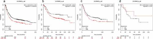 Figure 6. Prognostic value of SMAD6 expression in gastric cancer