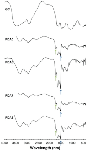 Figure 6 FT-IR analysis of PDA-incorporated nanoparticles showing the effect of GC addition on the chemical properties of nanoparticles.Notes: The composition of PDA/PGA/GC is illustrated in Table 1. GC was used as a solid powder, and lyophilized PDA-incorporated nanoparticles (PDA5–8 in Table 1) were used for FT-IR measurement. The carboxylic acid peak of PGA decreased with increasing GC content.Abbreviations: GC, glycol chitosan; FT-IR, Fourier-transform infrared; PDA, p-phenylenediamine; PGA, poly(γ-glutamic acid).