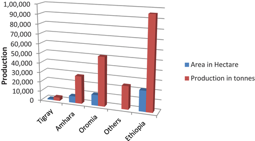 Figure 2. Garlic production and area planted in Ethiopia.