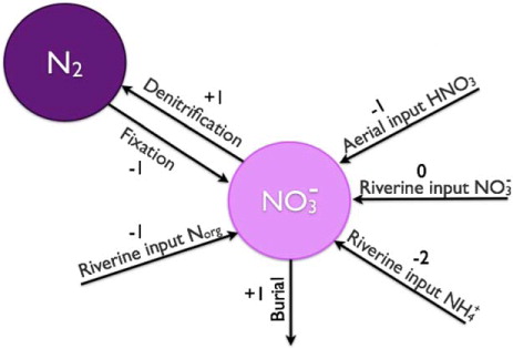 Fig. 3 Simplified representation of the marine nitrogen cycle. The ammonium is assumed to be nitrified as in Fig. 2. Furthermore, the organic nitrogen reservoir is assumed small compared to the nitrate reservoir.
