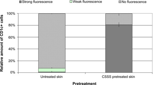 Figure 4 Relative mean values ± standard error for the number of MACS-separated cells with and without fluorescence after pollen allergen application to normal and barrier-disturbed skin.
