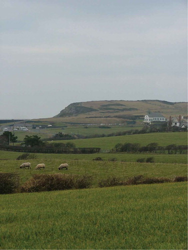 Figure 8. Causeway School in landscape, with heneghan.peng Causeway Visitor Centre, 2012, on far left. (Photo by author)