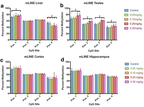 Figure 8. Mouse LINE (mLINE) DNA Methylation in Liver, Testes, Cortex, and Hippocampus Effect of DAC exposure on mLINE methylation. (a) Liver. (b) Testes. (c) Cortex. (d) Hippocampus. mLINE methylation increases with higher DAC exposure in Testes, and partially increases within Liver tissue. Lower methylation induced by DAC exposure is only found in position 4 of liver tissue. Single stars indicate p-values<0.05, when compared to controls. Error bars indicate standard error