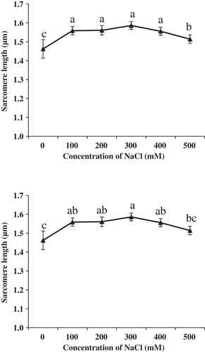 Figure 7. Changes of sarcomere length of the longissimus lumborum (LL) muscle fibers treated with NaCl. Values with different letters are significantly different among the concentrations (P < 0.05).