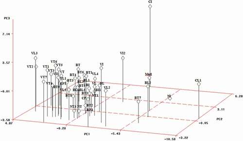 Figure 2. Position of the principal component (PC) scores of physical fruit traits for Moroccan sweet cherry genotypes