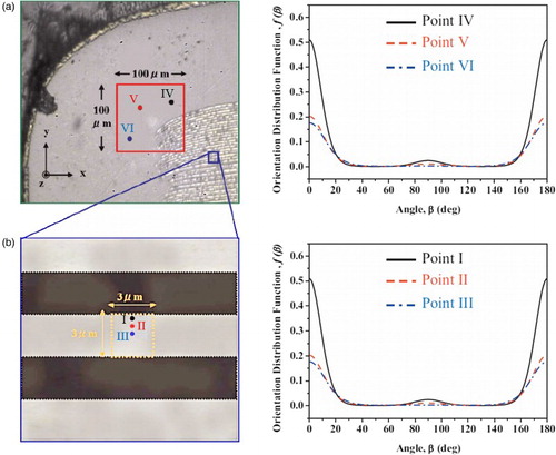 3 Domain orientation distribution detected by Raman spectroscopy in several areas of a barium titanate-based MLCC. The investigated areas are indicated on the left. The domains display higher degree of orientation in the vicinity of the electrodes. Reprinted with permission from Ref.Citation93