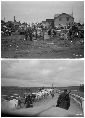 Figure 4. (Top) Original caption: ‘Loads are unpacked at the Sodankylä church from where the German trucks take the things on to Rovaniemi’ SA-kuva 163051/Sodankylä/17.09.1944); (Bottom) Women walking their livestock in Sodankylä towards the Swedish border, note the German soldier controlling the traffic (SA-kuva 163061/Sodankylä/17.09.1944).