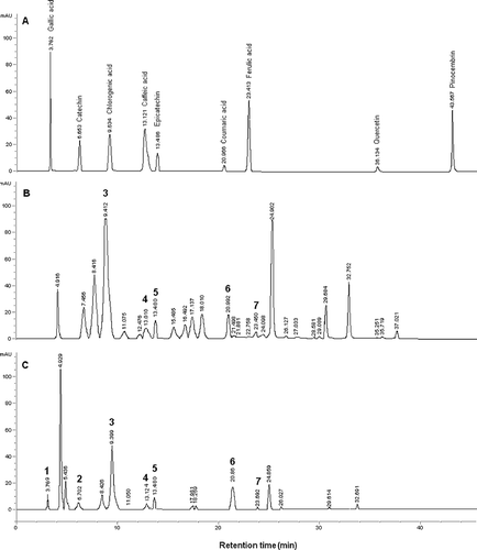 Figure 1 HPLC-DAD chromatogram of standards (a) and Rhododendron honeys collected from Artvin1 (b) and Trabzon3 (c) cities in the Black Sea Region in Turkey. The peaks correspond to the following: (1) gallic acid; (2) catechin; (3) chlorogenic acid; (4) caffeic acid; (5) epicatechin; (6) coumaric acid; (7) ferulic acid.
