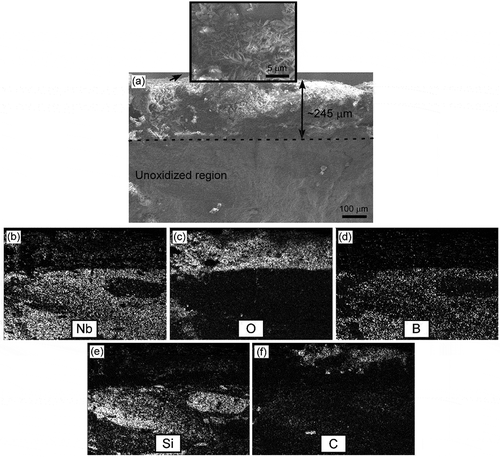 Figure 7. (a) Cross-sectional micrograph of sample 30S after oxidation at 1200°C for 180 min, and elemental composition maps showing the distribution of (b) niobium, (c) oxygen, (d) boron, (e) silicon, and (f) carbon. The inset in (a) is a surface micrograph of the oxide scale.