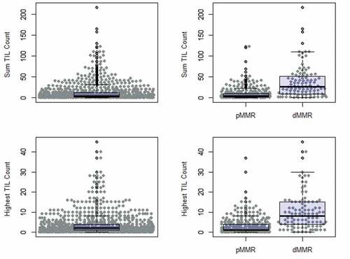 Figure 2. Quantitative TIL count including sum in five HPFs and highest TIL count in a single HPF in all patients, patients with pMMR, and patients with dMMR