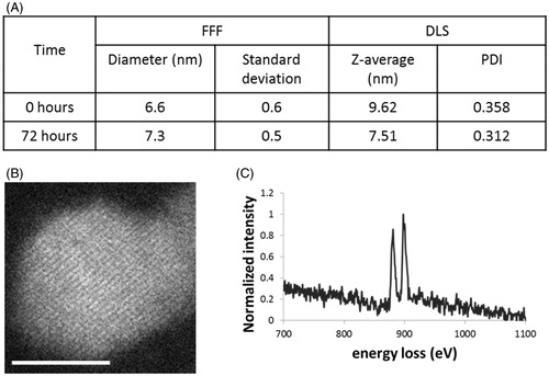 Figure 1. (A) Diameter of ceria NPs in exposure media after 0 and 72 h as measured by FFF (mean ± SD) and DLS (Z-average and polydispersity index (PDI)); (B) a representative STEM image of ceria NP taken after 72 h under exposure conditions (scale bar 5 nm); and (C) a typical EELs spectrum taken from centre of the nanoparticle.