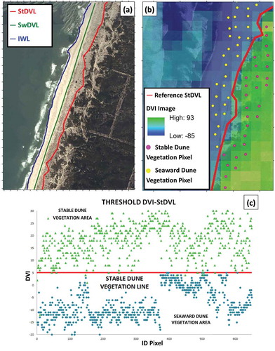 Figure 2. In Figure 2(a) are represented the three proxies used in this paper (as example, in the picture, it is shown an exemplifying coastal stretch belonging to the ASA). In Figure 2(b), it is shown the sampling of the 2011 DVI image pixels’ values in the stable dune vegetation/seaward dune vegetation transitional area. In Figure 2(c), it is shown the definition of the DVI value representative of the StDVL threshold (i.e., the median of the whole statistical population of the sampled pixels).