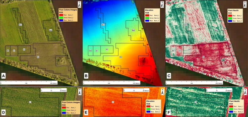 Figure 2. Target polygons with drone images: organic (B1, B2, B3, B4); biodynamic (Bd1, Bd2, Bd3); conventional (C1 and C2).Note: A – True colors (RGB) organic and biodynamic polygons; B – Elevation (RGB) organic and biodynamic polygons; C – Plant Health (RGB) organic and biodynamic polygons; D – True colors (RGB) conventional polygons; E – Elevation (RGB) conventional polygons; F – Plant Health (RGB) conventional polygons