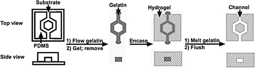 Figure 6. Soft lithography for building micro-fluidics devices (Golden & Tien, Citation2007).