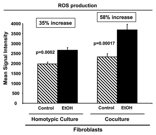 Figure 2. Ethanol treatment drives oxidative stress in fibroblasts. Fibroblasts were plated in homotypic culture or in co-culture with RFP(+)-MCF7 cells. After 2 d, cells were treated with 100 mM EtOH for 72 h. Untreated cells served as controls. ROS production was determined by flow cytometry using CellROX Deep Red Reagent probe. Fibroblasts were identified as the RFP(-)-cell population. Note that in fibroblasts cultured alone, EtOH treatment increases ROS production by 35%, as compared with control cells. When fibroblasts were co-cultured with cancer cells, the increase in ROS production is even higher, rising up to 58%. p values are as indicated.