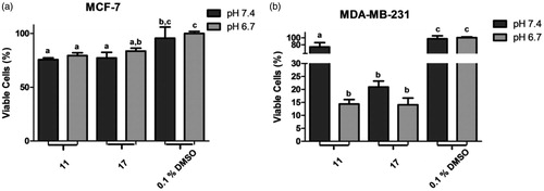 Figure 1. Percentage of metabolically viable cells (%MVC) under acidosis. (a) treatments with selected chalcones 11 and 17 against MCF-7 line; (b) treatments with selected chalcones 11 and 17 against MDA-MB-231 line. Different letters in the graph indicate statistical difference with significance p< 0.05 in Tukey’s multiple comparisons test. DMSO 0.1% was used as negative control.