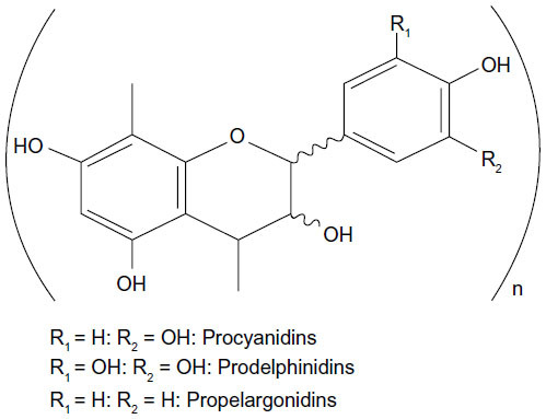 Figure 1 The structure of procyanidins.