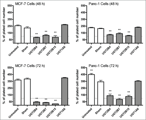 Figure 2. Comparison of MCF-7 and Panc-1 cell proliferation before and after transfection with UGT2B4, 2B7, and 2B15. Cell viability was determined in triplicate by the trypan blue exclusion assay 24 and 48 hours after transfection with the indicated UGT2B expression plasmid. Untransfected and Lipofectamine 2000 (sham) transfected cells were used as controls. Bars represent mean percent of viable cells at each time point and vertical lines indicate SEM, n=3. All treatment conditions were compared to the sham (Lipofectamine 2000 only) transfection samples for statistical significance; ** = p < 0.01.