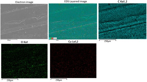 Figure 12. Elemental mapping analysis showing the protective layer for an ABS sample coated with CuO and with 20 s of acetone treatment.