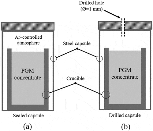 Figure 1. Schematic views of the sealed capsule system (a) and the capsule with a drilled hole (b).