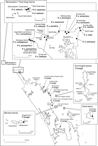 Figure 1  Map showing locations where Placostylus snails were collected.