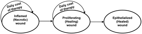 Figure 1. Three-state Markov diagram of wound healing.