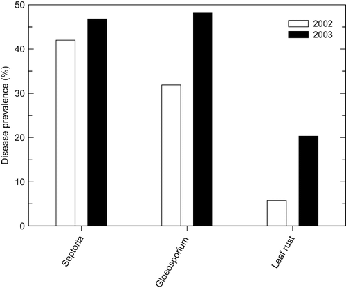 FIGURE 1. Prevalence of Septoria leaf spot, Gloeosporium leaf spot, and leaf rust on rabbiteye blueberry cultivars ‘Brightwell’, ‘Climax’, ‘Powderblue’, ‘Premier’, and ‘Tifblue’, based on a field survey in Georgia in summer and fall of 2002 (n = 69) and 2003 (n = 79). Prevalence was calculated based on presence or absence of a particular disease on at least 5% of the leaves in a given sample. Data source: CitationScherm et al. (2008a).