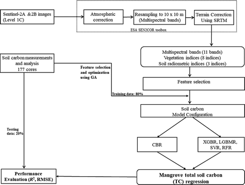 Figure 2. Methodological framework proposed for TC retrieval in mangrove ecosystems using machine learning techniques and S-2 MSI data