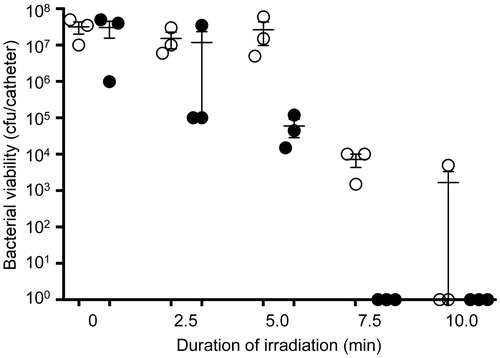 Figure 3. Killing of biofilm-associated S. aureus with AuNC@Dap/PDA-aSpa. Biofilms were allowed to form on catheters before being placed into 500 μl of biofilm medium (BFM) containing AuNC@Dap/PDA-aSpa at a final concentration of 0.4 nM. Control catheters were not irradiated (0 min), while test catheters were irradiated for the indicated period of time. The number of viable bacterial cells was then determined at 0 h (open circles, PT effect) and after an additional 24 h incubation (filled circles, antibiotic effect).