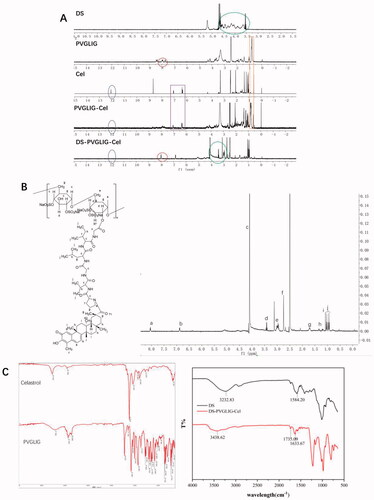 Figure 3. (A) 1H-NMR spectrum of DS, PVGLIG, Cel, PVGLIG-Cel and DS-PVGLIG-Cel. (B) 1H-NMR spectrum of DPC. (C) FT-IR spectrum of Cel, PVGLIG, DS and DPC.