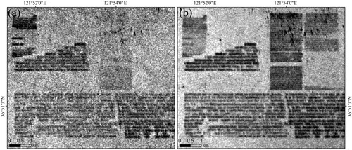 Figure 5. Comparison of SAR images before and after composition. (a) One of the original time series images, and (b) one of the temporal mean images.