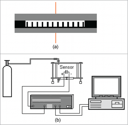 Figure 3. Benzene measurement system: (a) anodic multi-walled carbon nanotube/Al plate ionization gas sensor; (b) measurement system.